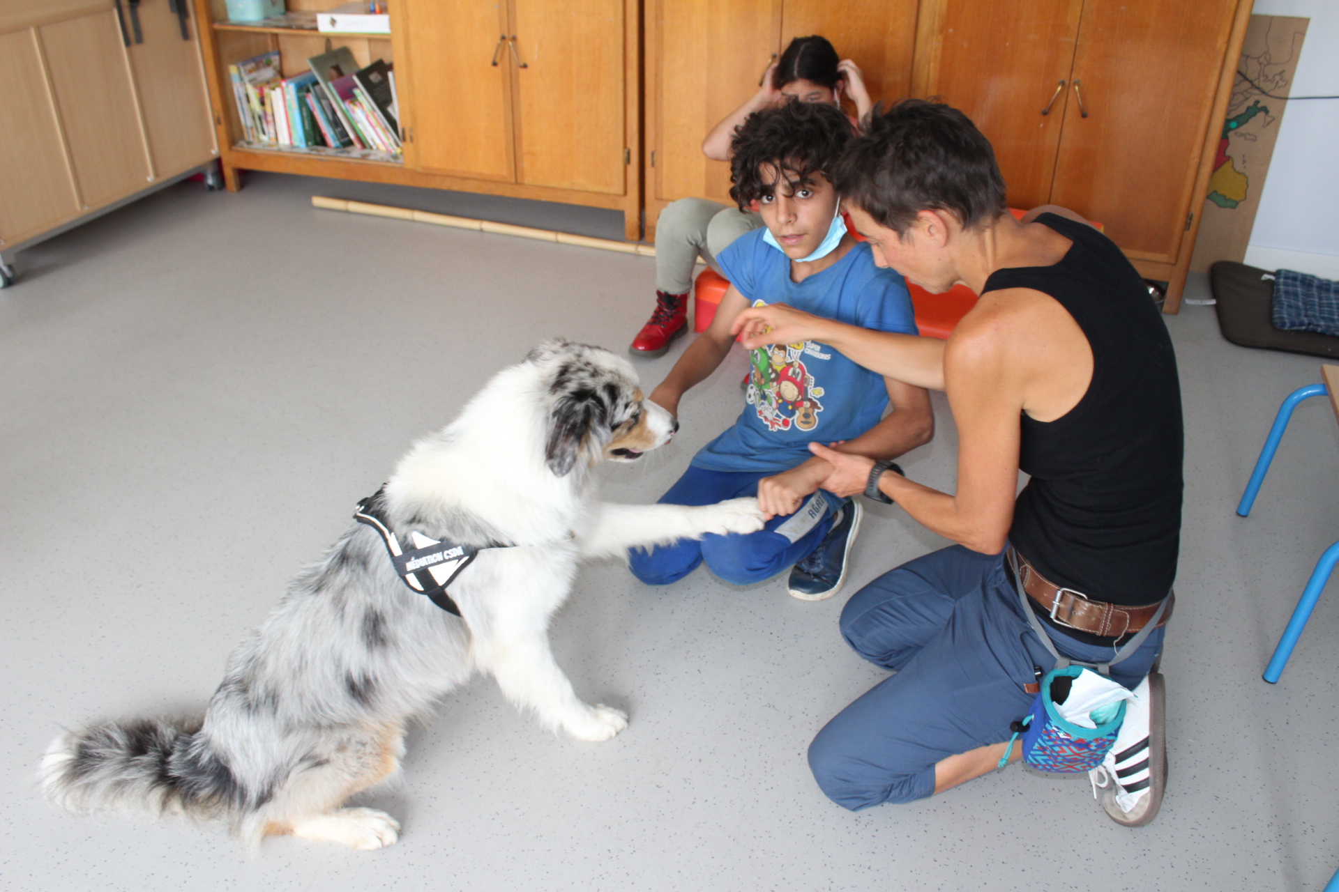 Un chien accompagnateur au CSDA